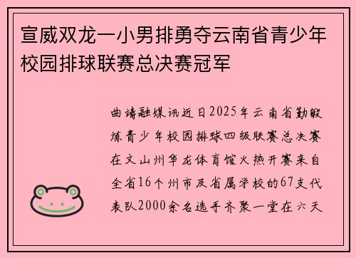 宣威双龙一小男排勇夺云南省青少年校园排球联赛总决赛冠军