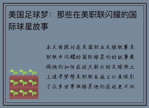 美国足球梦：那些在美职联闪耀的国际球星故事